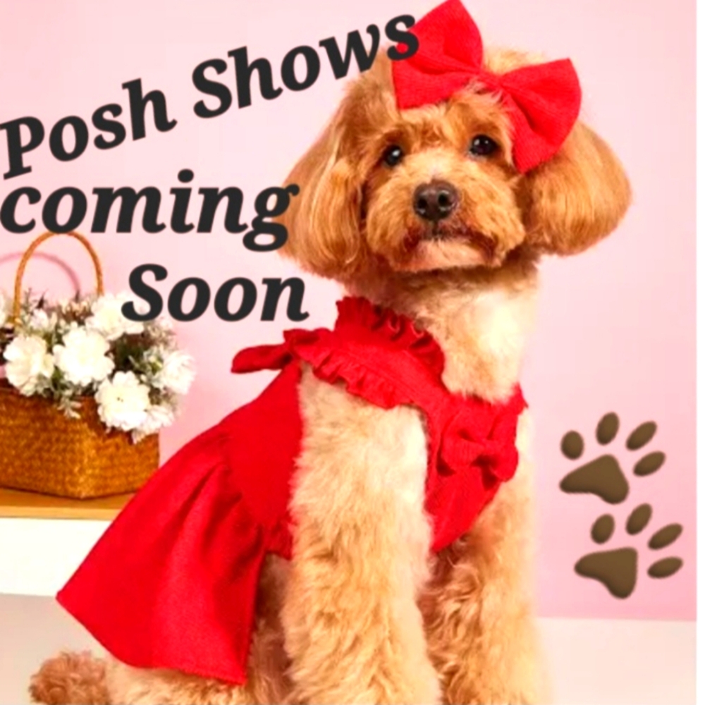 Live Shows Coming 😍🐾
